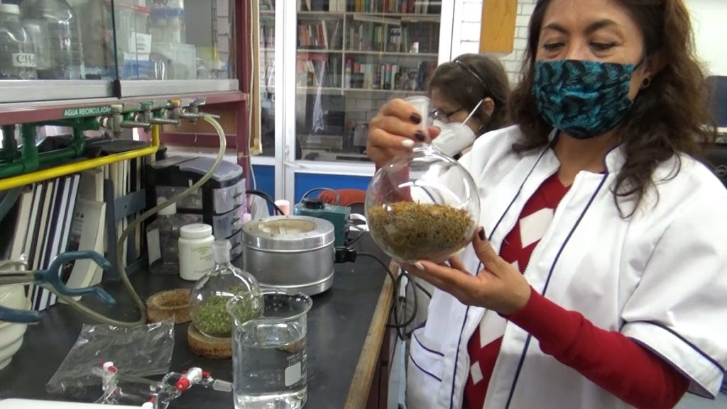 Facultad de quimica de la UNAM,extracción de aceites esenciales.